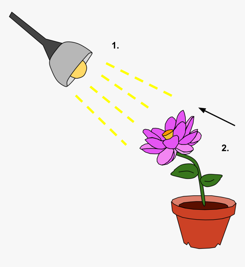 Response To Environment, HD Png Download