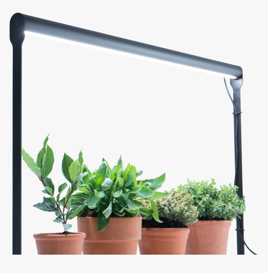 Flowerpot, HD Png Download