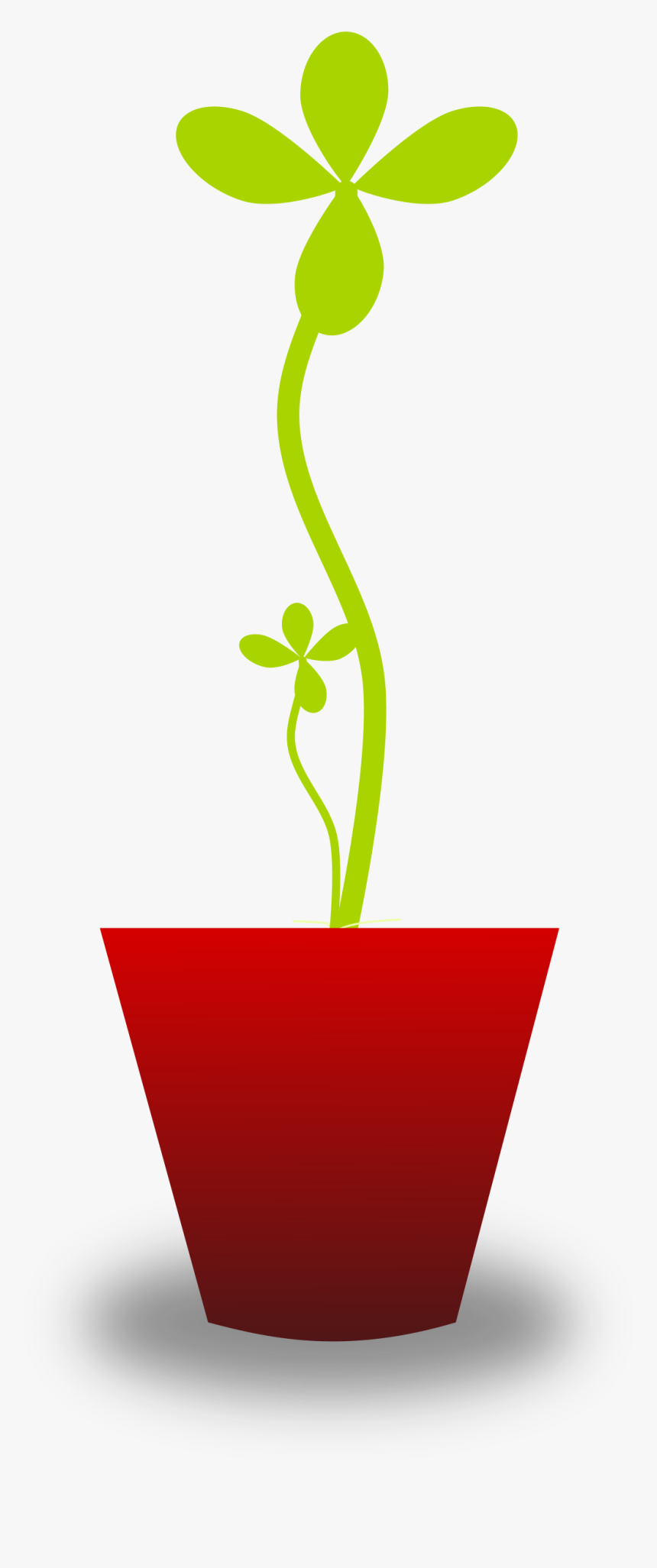 Plants, HD Png Download