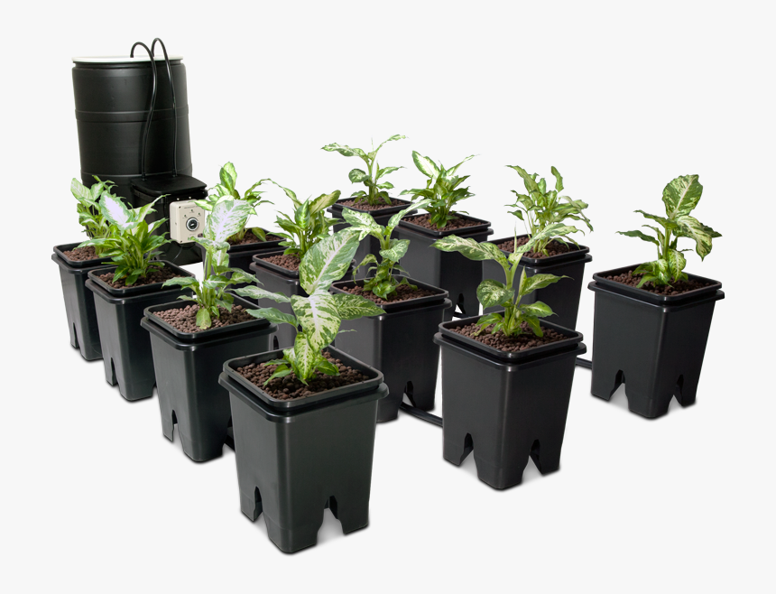 Grow Flow Ebb & Flow System - Flow Grow Hydroponics, HD Png Download