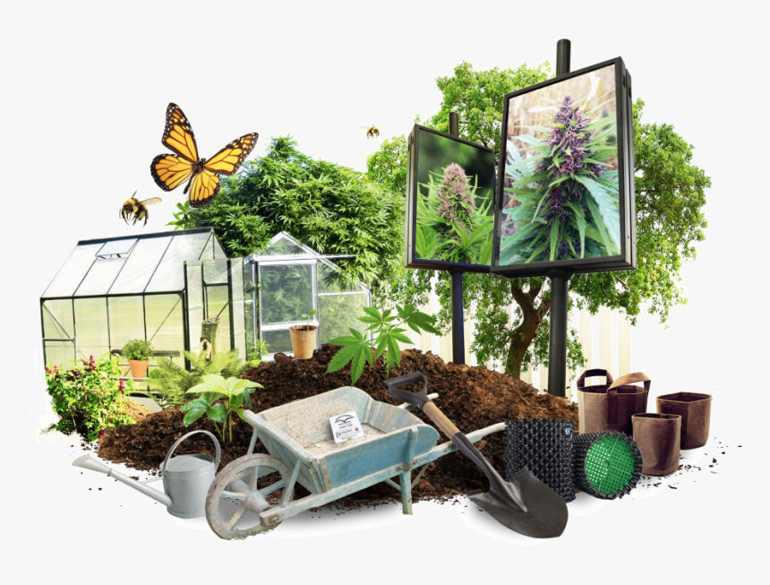 Growing Cannabis Outdoors - Brush-footed Butterfly, HD Png Download