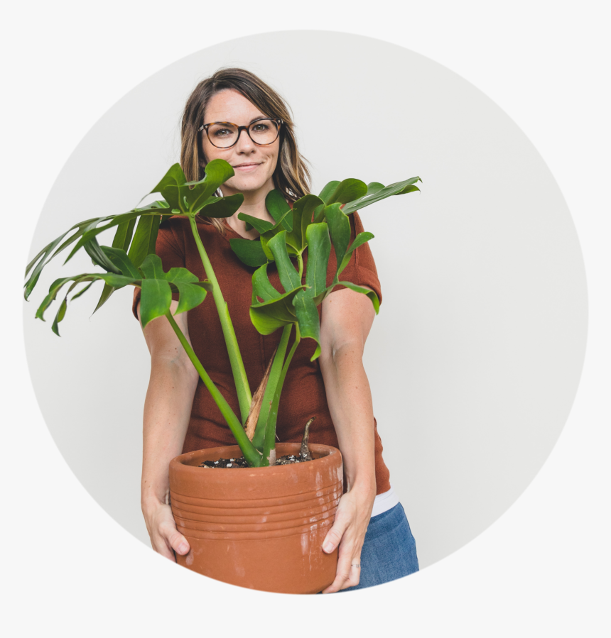 Plant Growing Png, Transparent Png