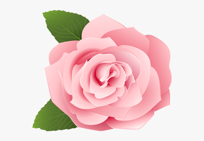 Rose Png - Rose Pink Flower Design, Transparent Png