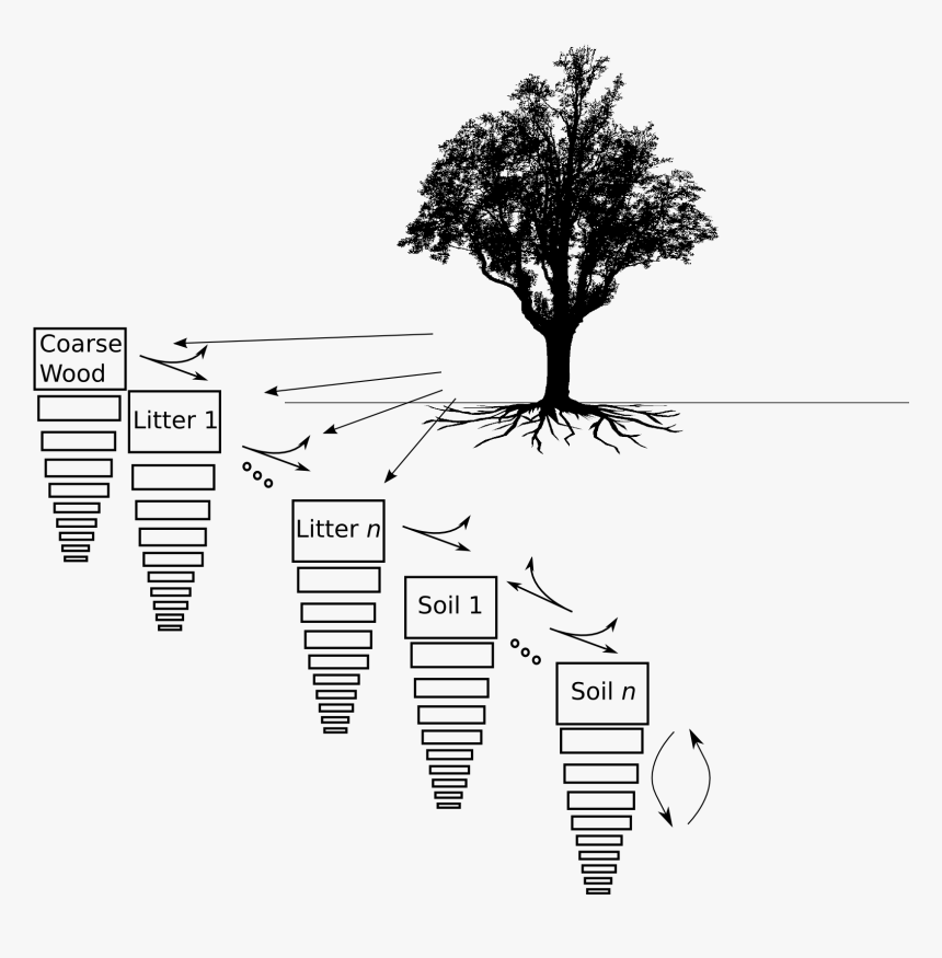 Images/clm4 Vertsoil Soilstruct Drawing - Illustration, HD Png Download