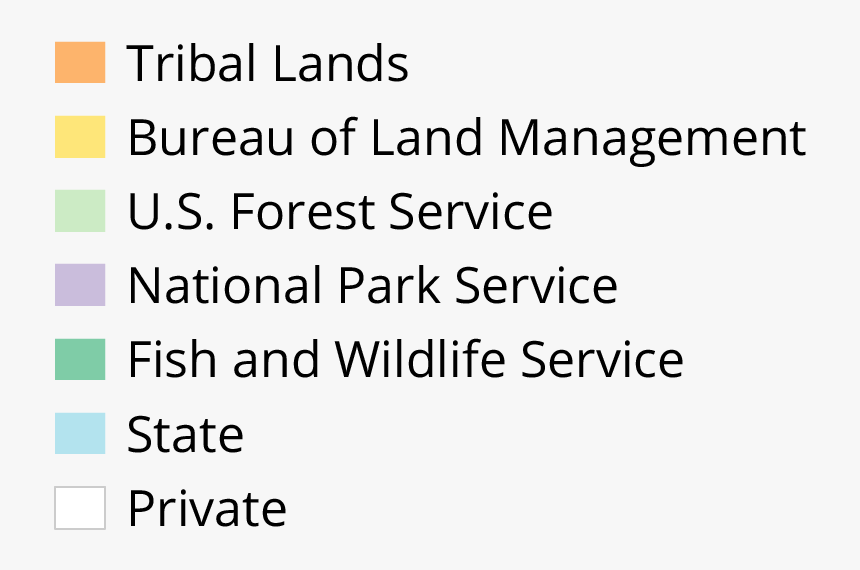 Screenshot, HD Png Download