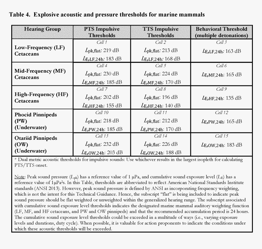 Document, HD Png Download