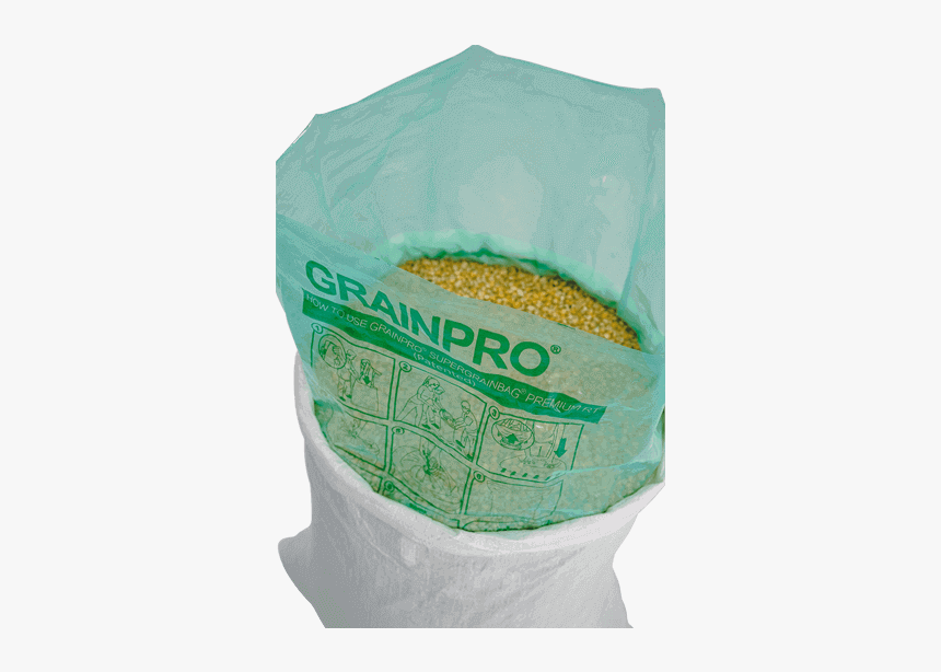 Umbrella, HD Png Download