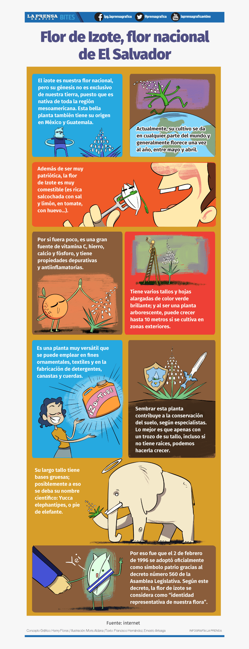 Poster, HD Png Download