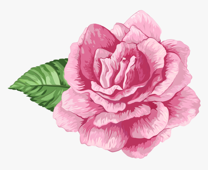 Rosa Png, Transparent Png