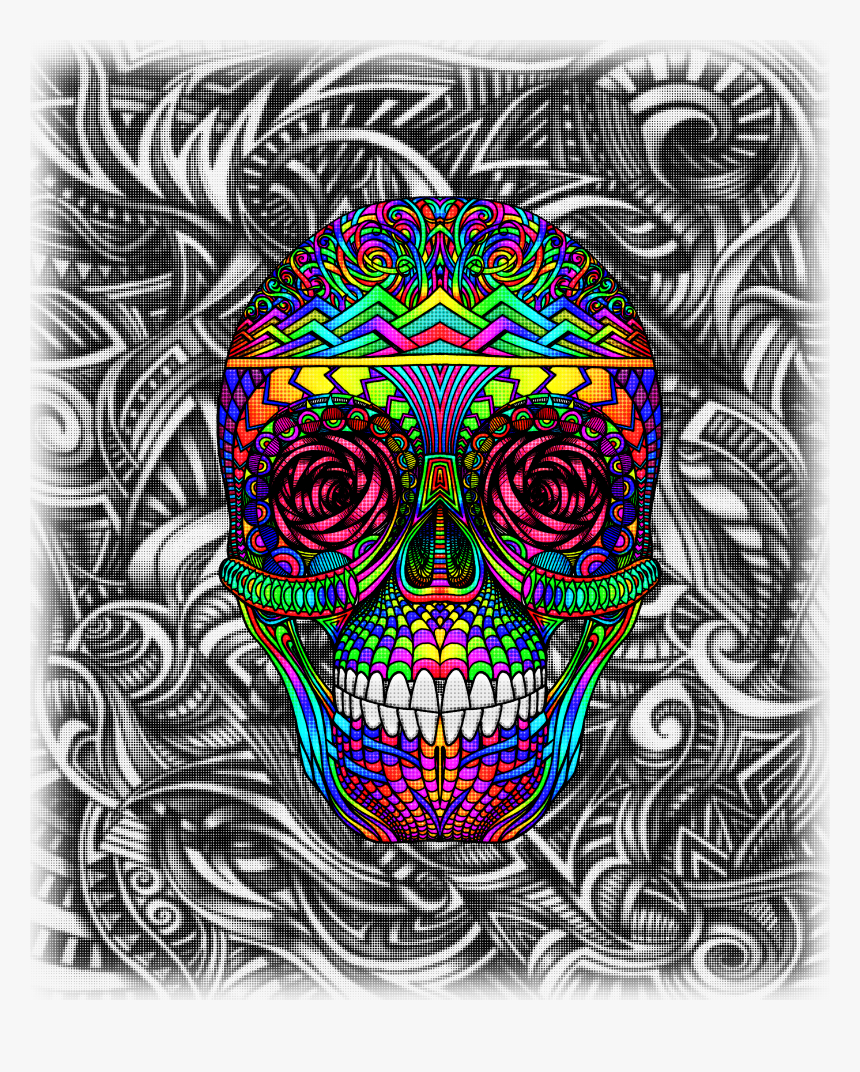 Skull, HD Png Download