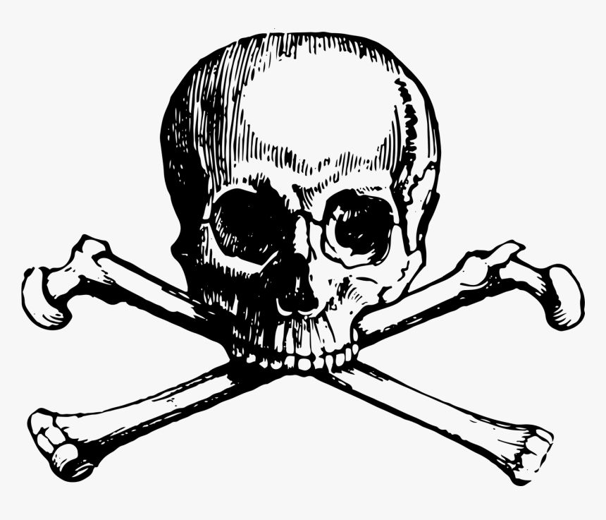 Skull And Bones Skull And Crossbones Clip Art - Skull N Bones Png, Transparent Png