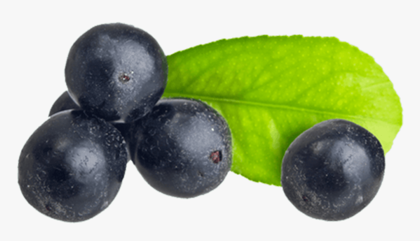 Acai Berry - Acai Com Folha Png, Transparent Png