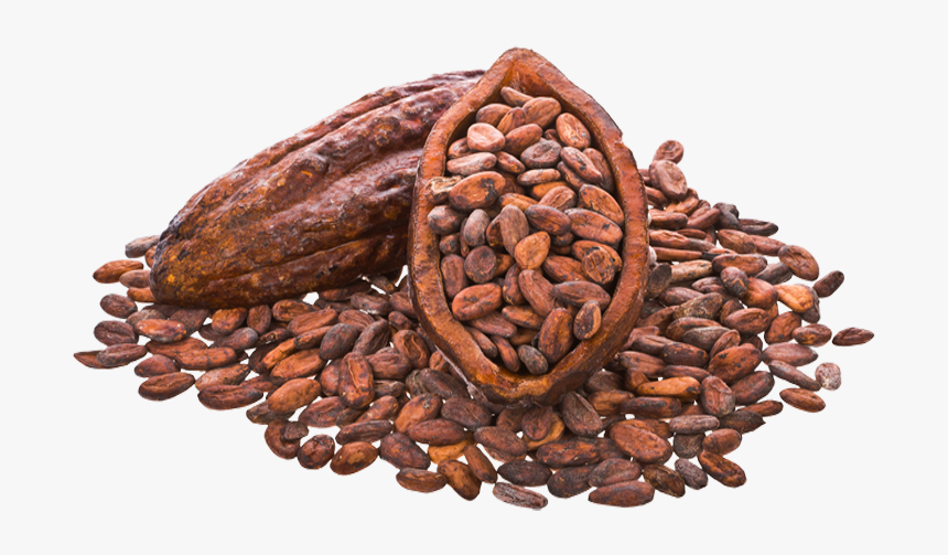 Cocoa Beans Png Image - Cacao File Png, Transparent Png