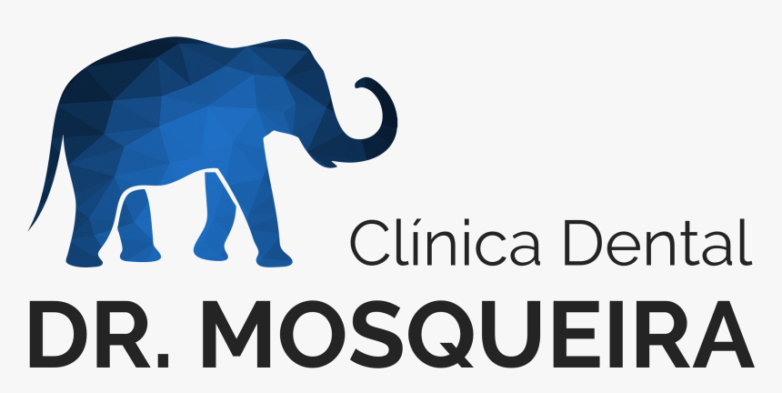 Dentista En Alicante - Indian Elephant, HD Png Download