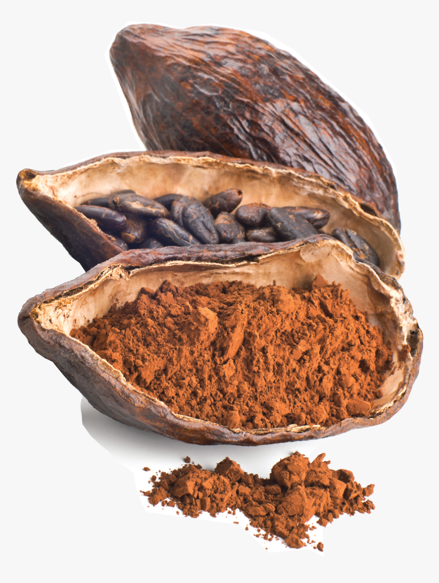 Transparent Cocoa Bean Png - Cocoa Beans Png Transparent, Png Download