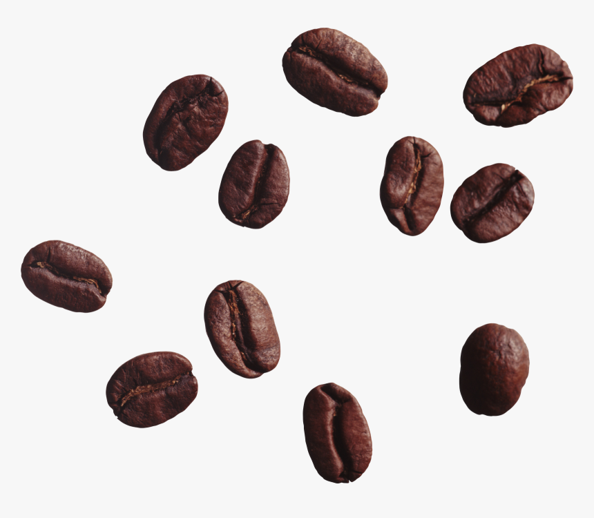 Cocoa Coffee Beans Transparent Background, HD Png Download