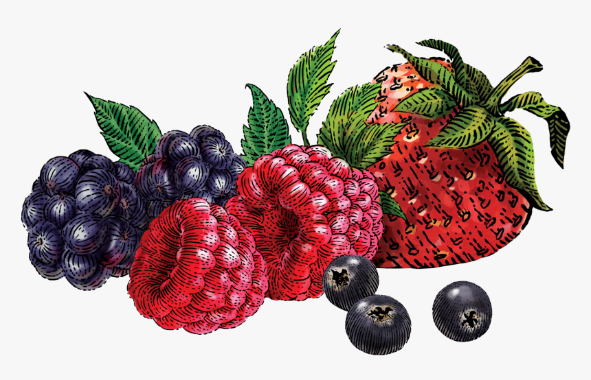 Images In Collection Page Transparent Background - Transparent Mixed Berries, HD Png Download