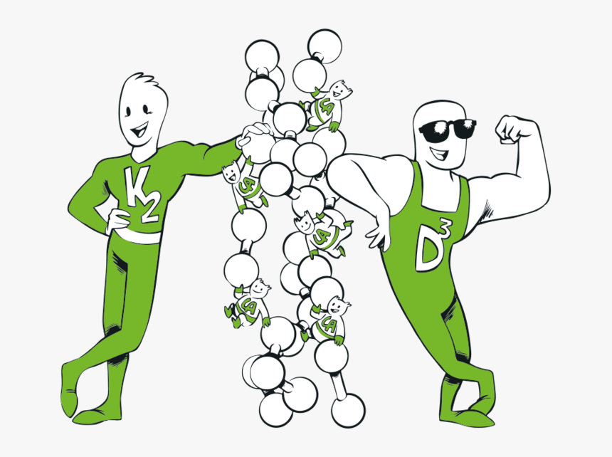 Vitamin D And K Cartoon, HD Png Download