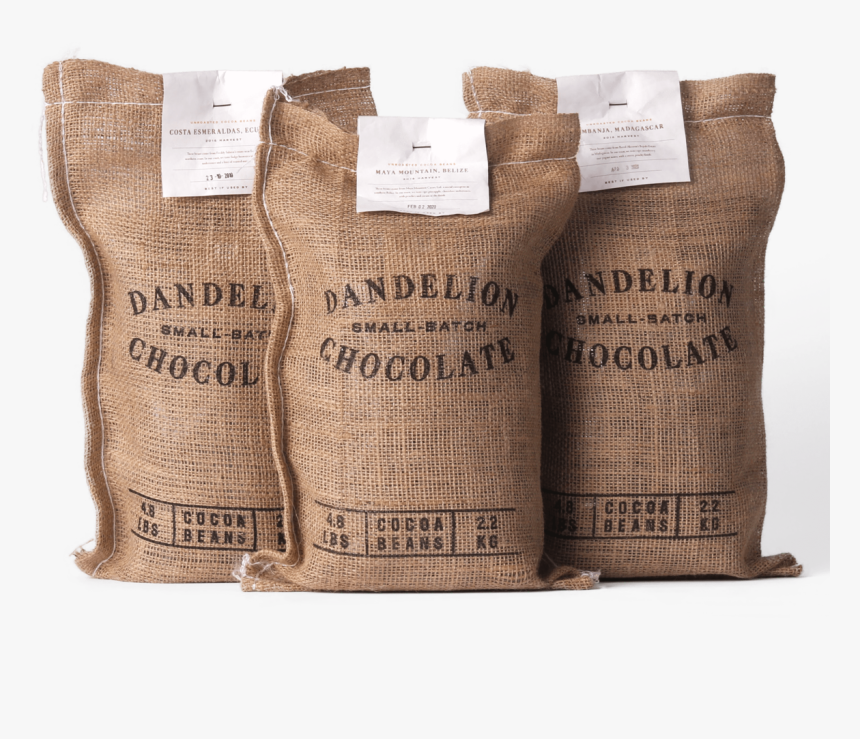 Cocoa Bean Png, Transparent Png