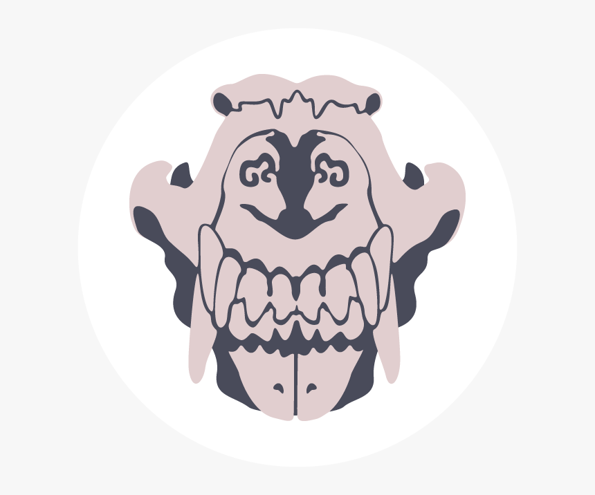 Identify Any Bone - Illustration, HD Png Download