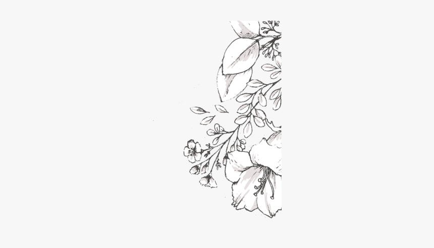 Welcome Banner 01, HD Png Download