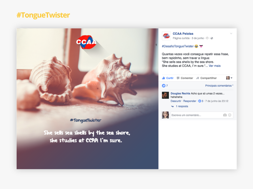 Seashell, HD Png Download