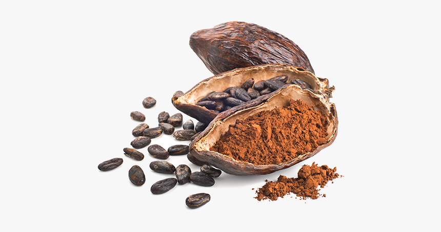 Cocoa For Chocolate, HD Png Download