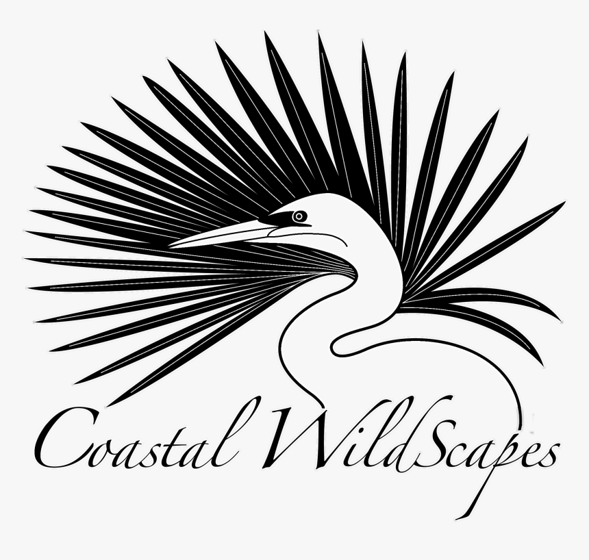 Egret, HD Png Download