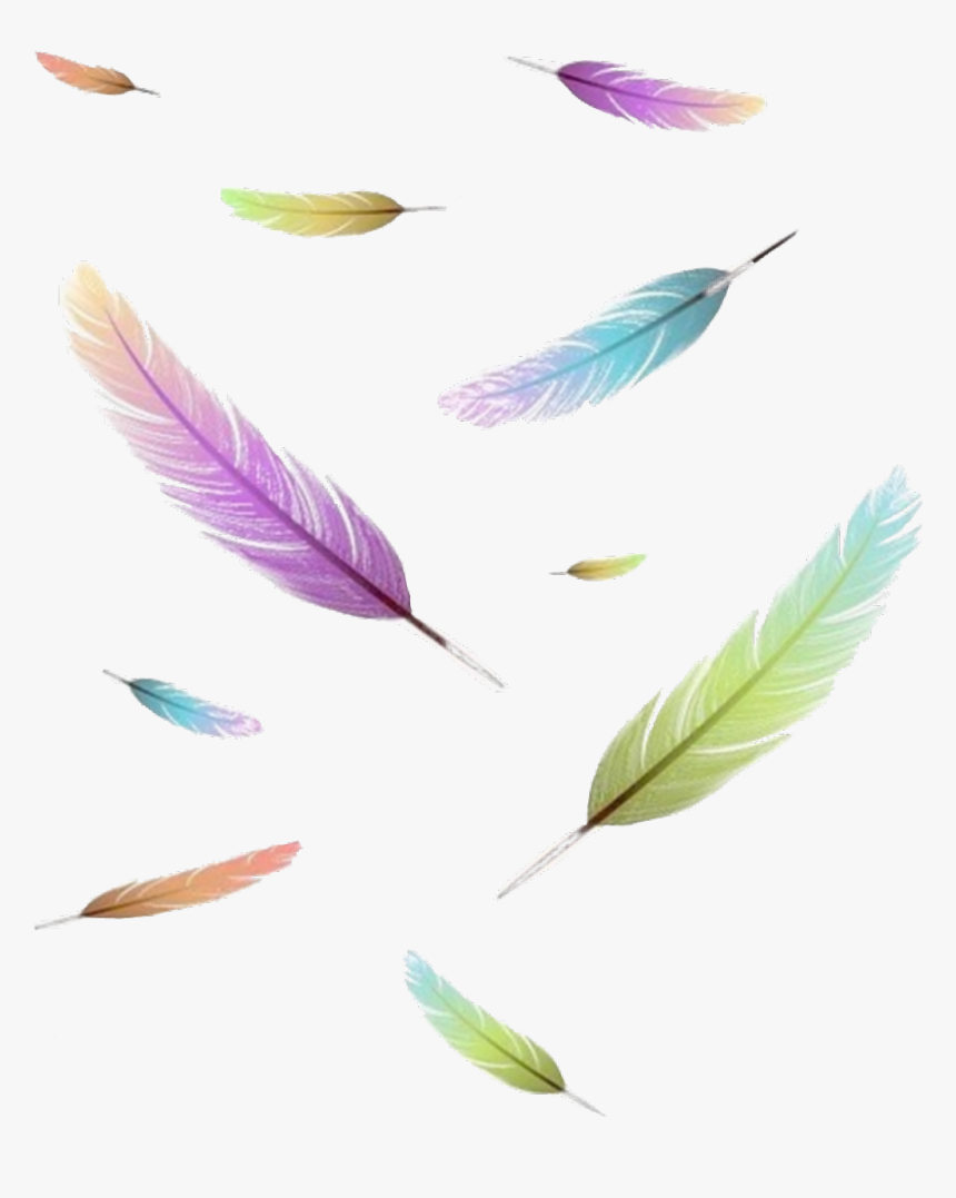 #freetoedit #sticker #icon #feder #feather #wrote #write - Feather, HD Png Download