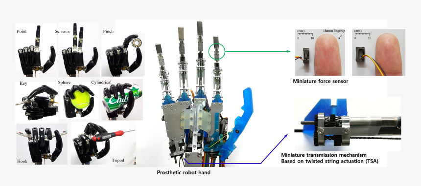 Designing Anthropomorphic Robot Hand With Active Dual-mode - Biomimetic Anthropomorphic Robotic Hand, HD Png Download