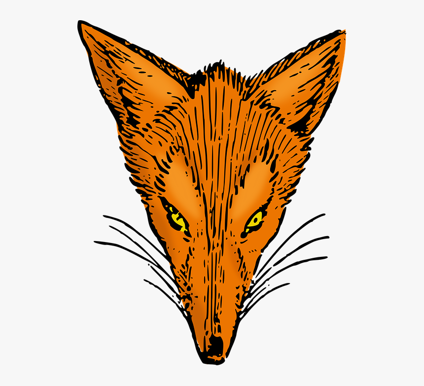 Fox, HD Png Download