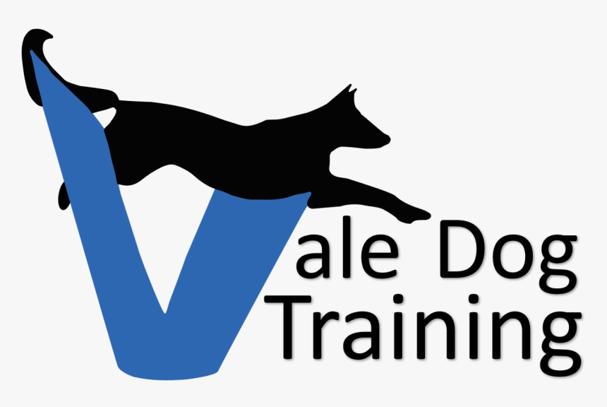 Dog Jumping Through Hoop Clipart Png Royalty Free Library - Training, Transparent Png
