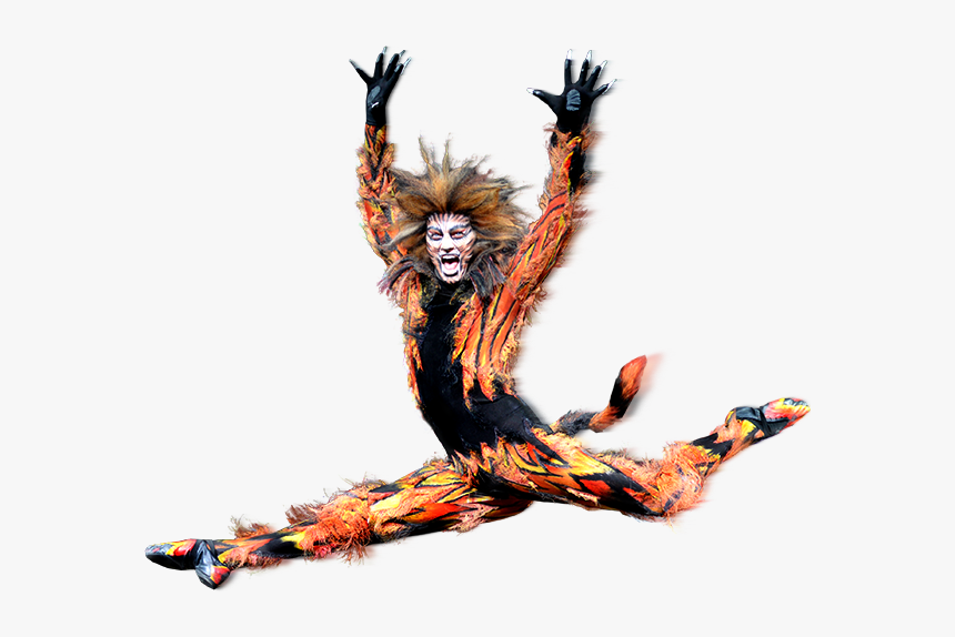 Cats The Musical Png, Transparent Png