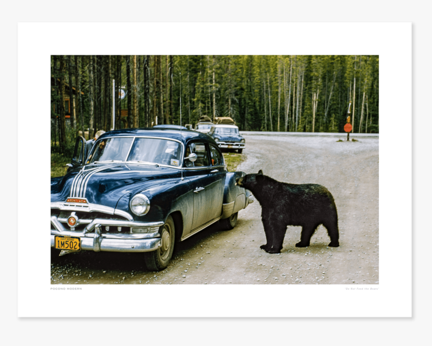 Main Do Not Feed The Bears - Chicago Bears, HD Png Download