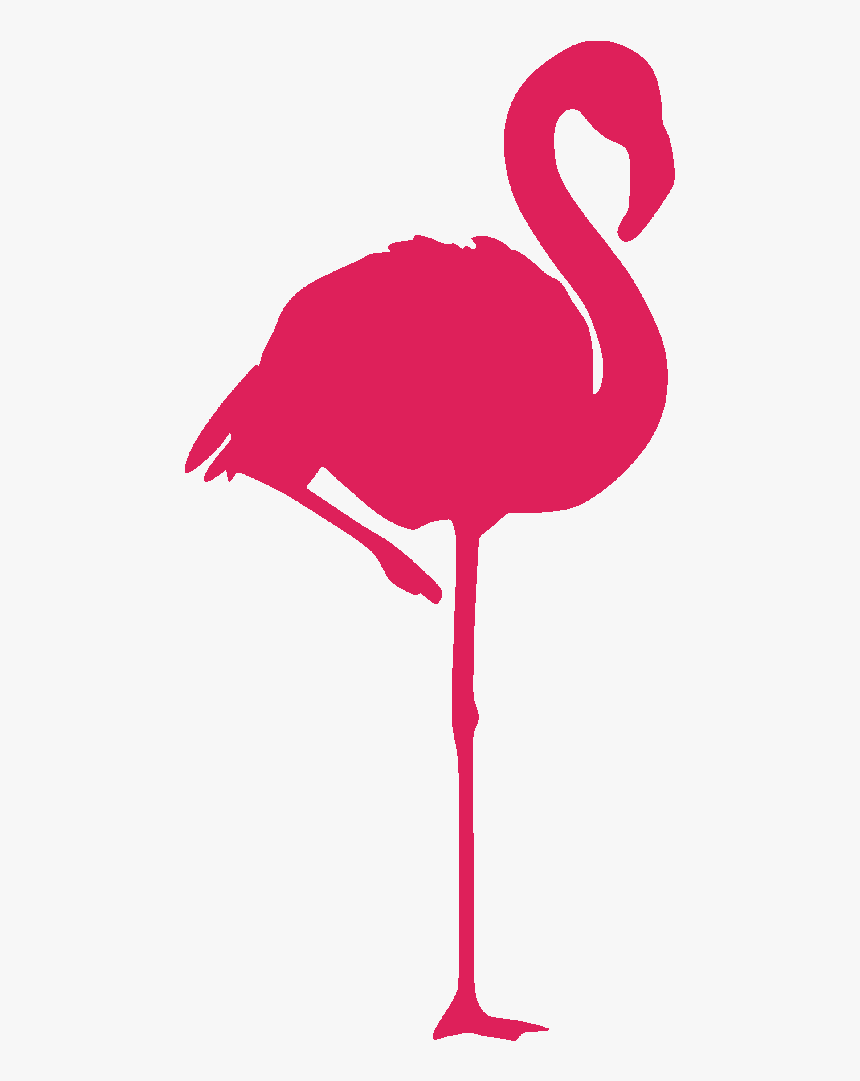 Thumb Image - Flamingo Logo Png, Transparent Png