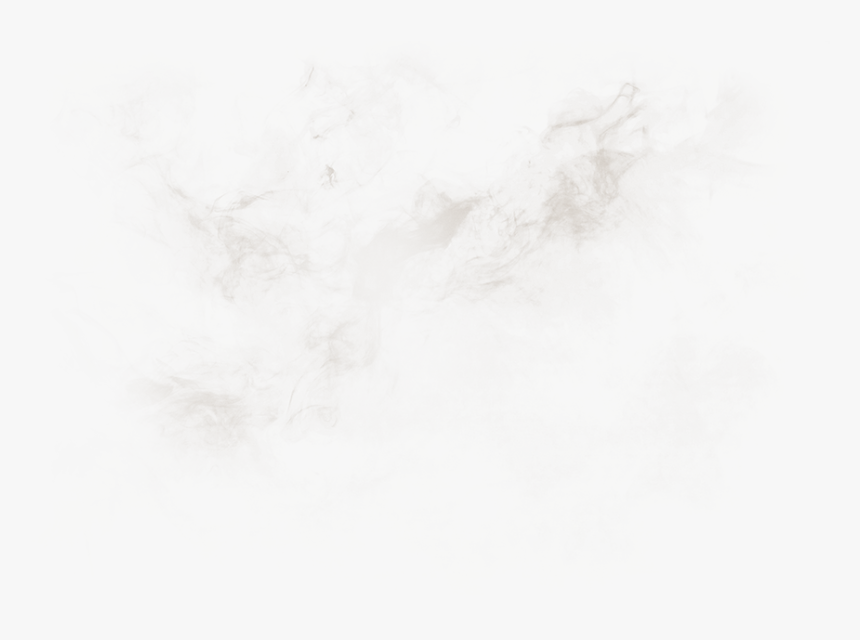 Orange2 Copyb - Sketch, HD Png Download