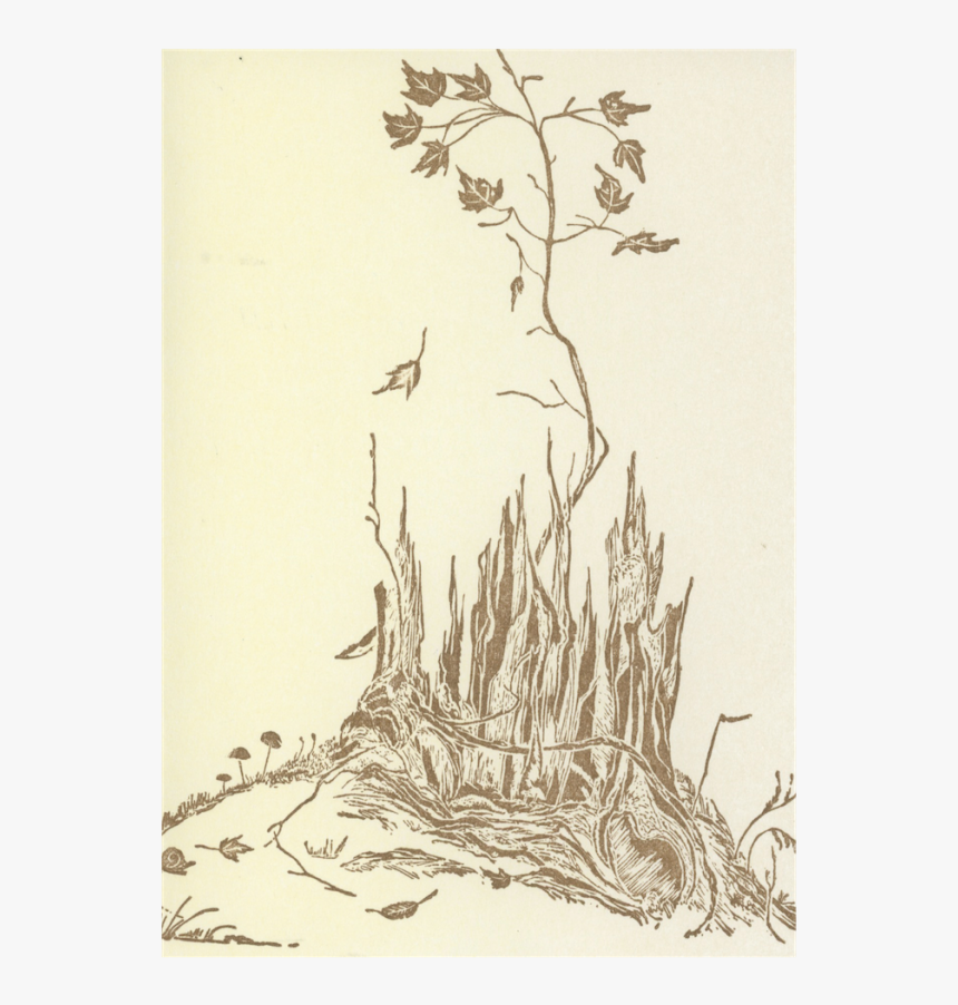 Sketch, HD Png Download