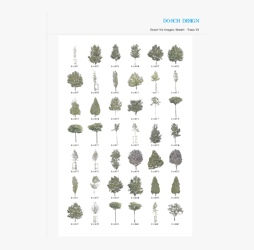 Pond Pine, HD Png Download