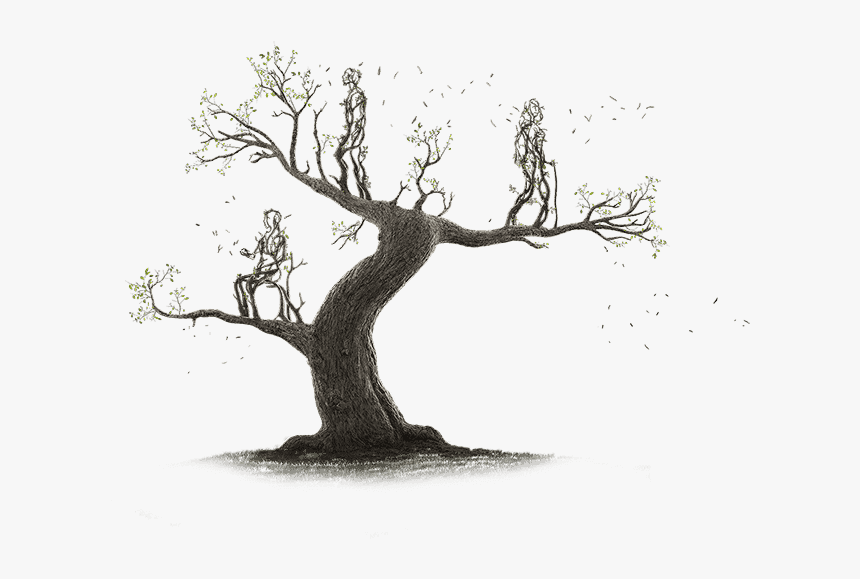 A Treatment For The Polyneuropathy Of Hattr Amyloidosis - Sketch, HD Png Download