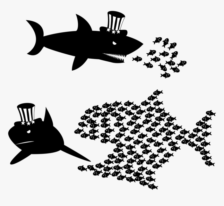 Shark,stencil,silhouette, HD Png Download