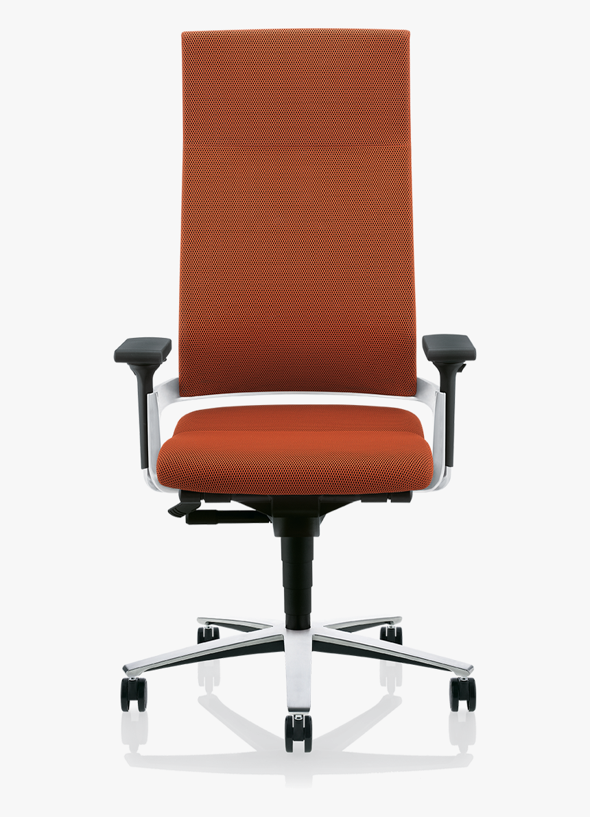 La Cinta Züco, HD Png Download