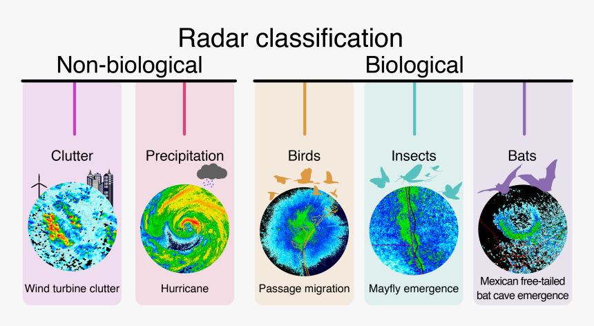 Air Traffic Control Bird Radar, HD Png Download