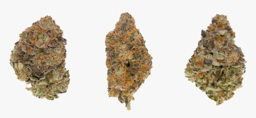 Bud Row - Igneous Rock, HD Png Download