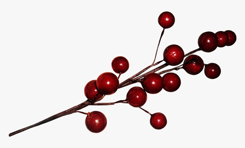 [​img] - Cherry, HD Png Download