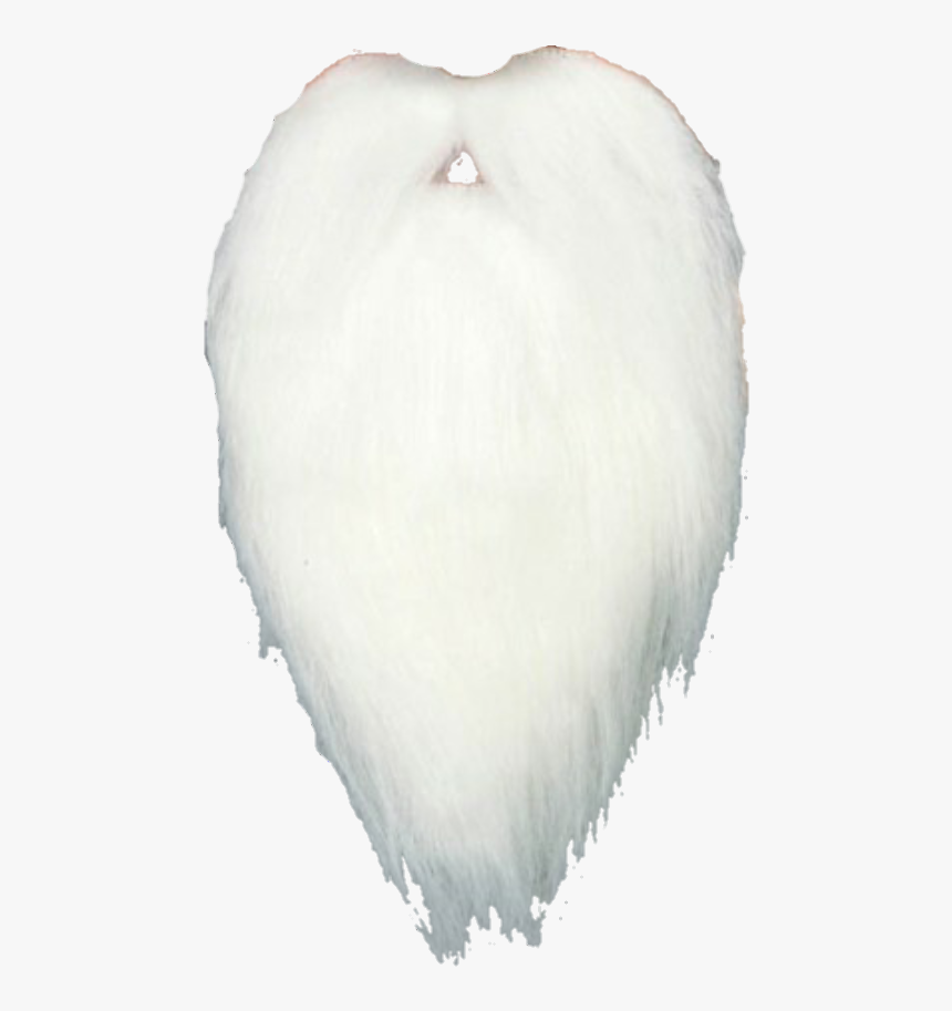 #barba Blanca - Sand Dollar, HD Png Download