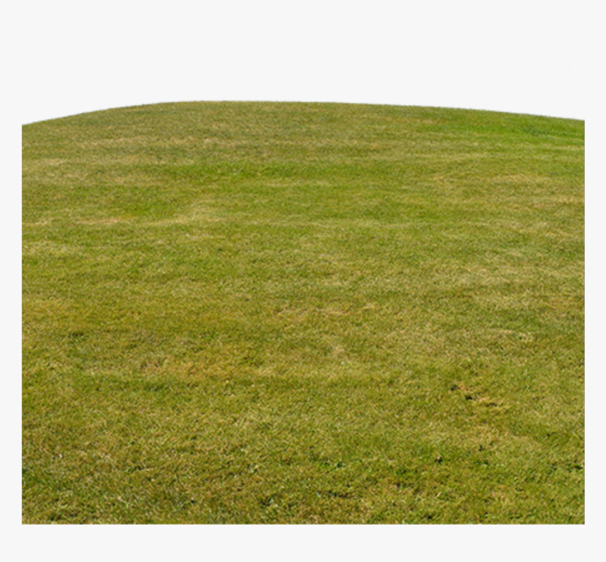 #grama - Lawn, HD Png Download