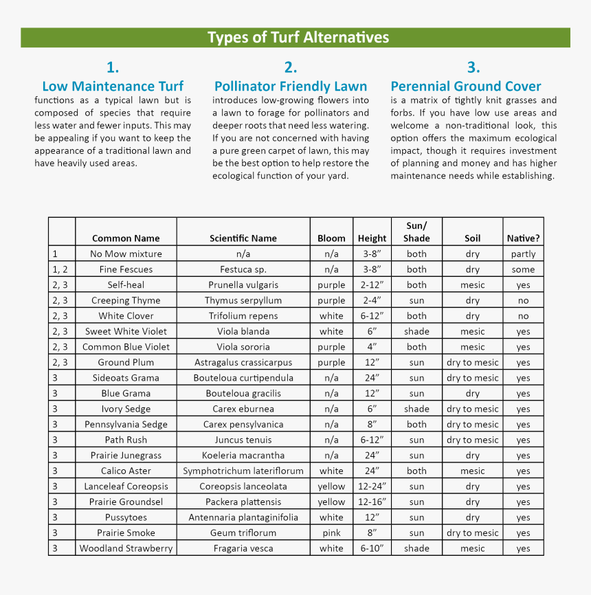Stub End Type B, HD Png Download