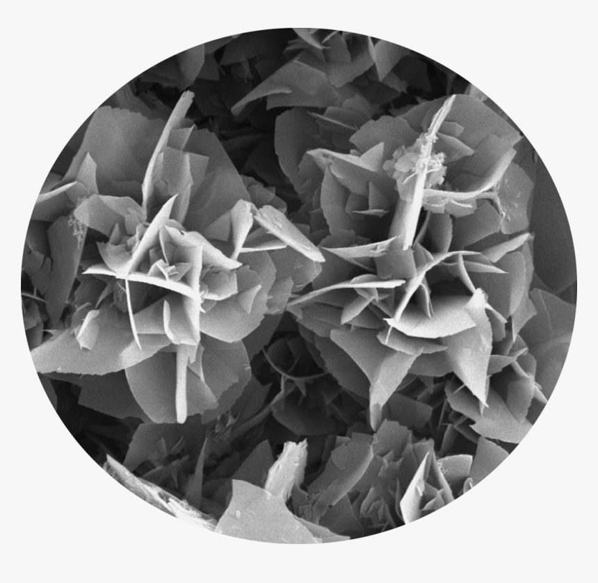 Hydrothermal Synthesis Polyimide, HD Png Download