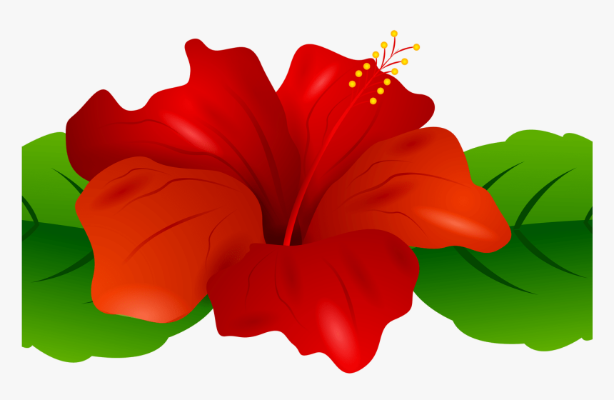 Hibiscus Clipart Flower Boarder, Hibiscus Flower Boarder - Portable Network Graphics, HD Png Download