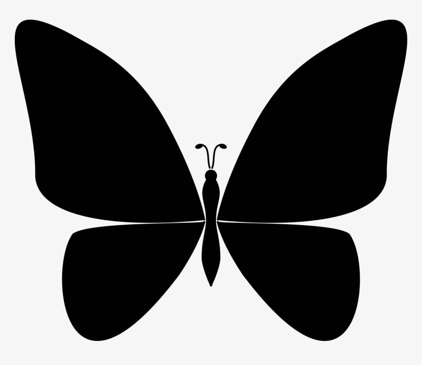 Butterfly Wings Nature Free Photo - Butterfly, HD Png Download